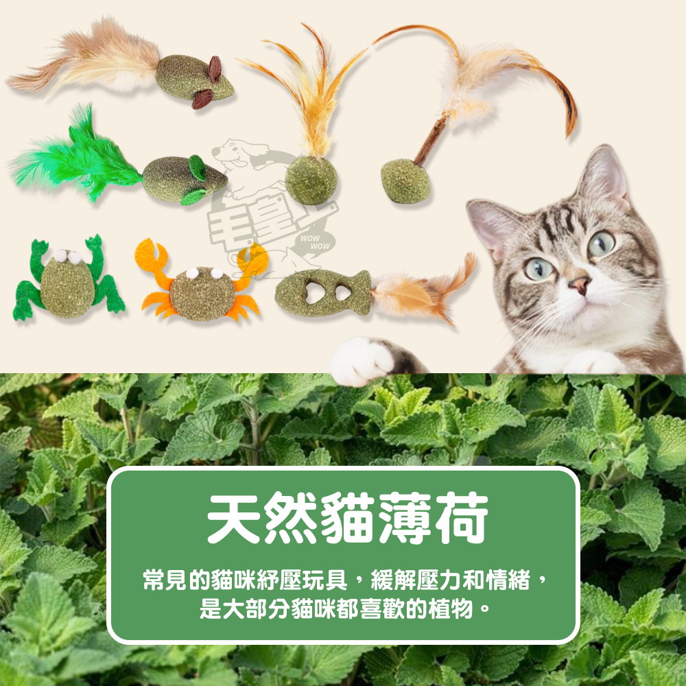 【毛皇上】貓薄荷小玩具 貓玩具 貓薄荷 貓薄荷球 貓草玩具 貓咪玩具-細節圖2