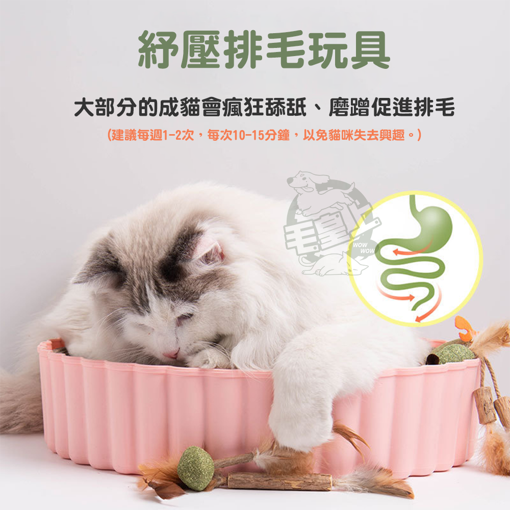 【毛皇上】貓薄荷小玩具 貓玩具 貓薄荷 貓薄荷球 貓草玩具 貓咪玩具-細節圖3