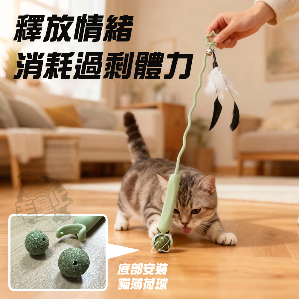 【毛皇上】流蘇薄荷球逗貓棒 45CM 波浪款/星星款 貓薄荷球 逗貓棒 貓玩具 貓玩具-細節圖3