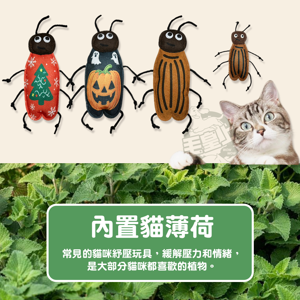 【毛皇上】仿真昆蟲貓薄荷玩具 24CM 蟑螂玩具 貓薄荷玩具 毛氈玩具 貓玩具-細節圖2