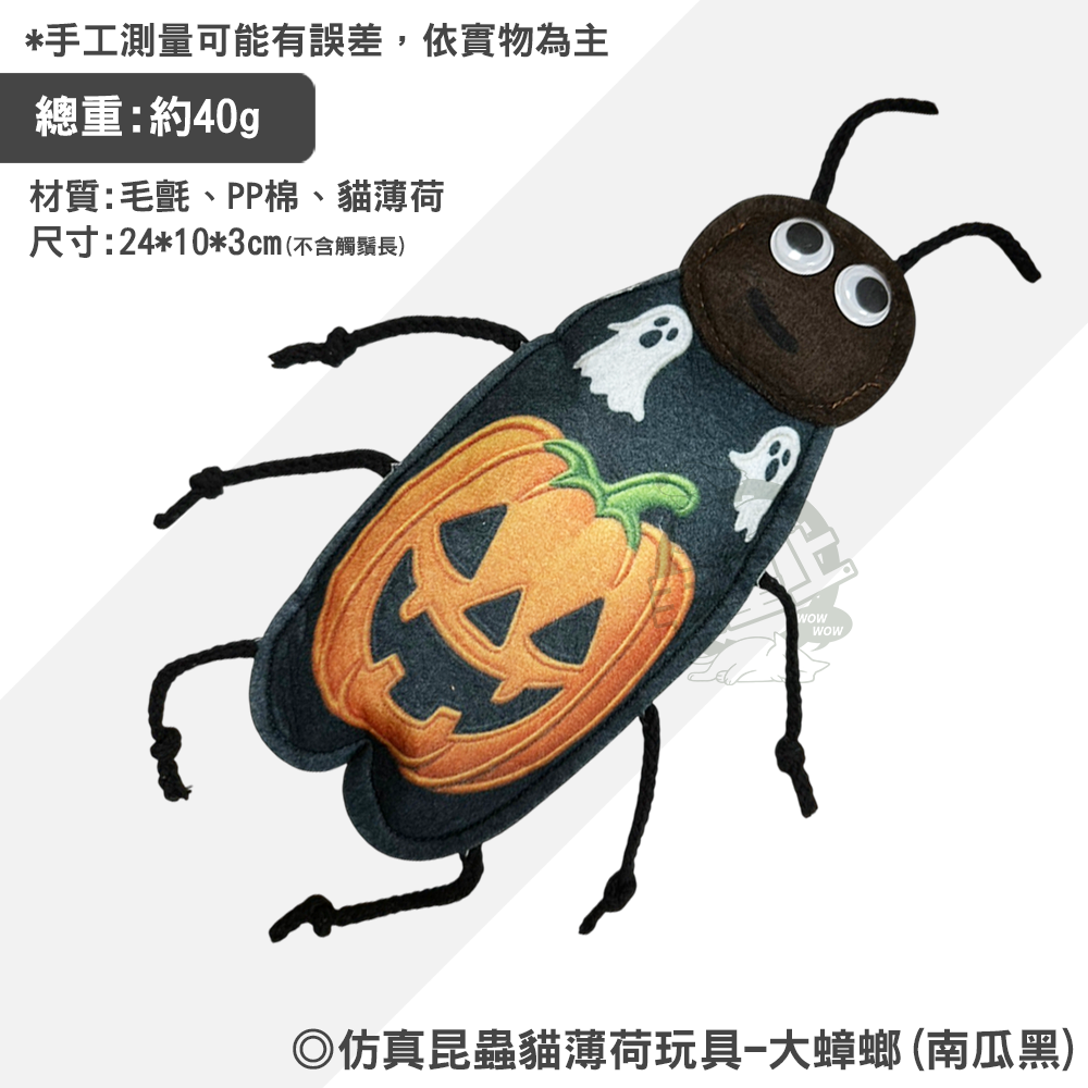 大蟑螂(南瓜黑)