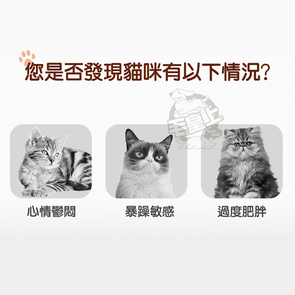 【毛皇上】釣魚不倒翁貓抓球 釣魚貓 造型不倒翁 逗貓玩具 趣味逗貓 貓玩具-細節圖2