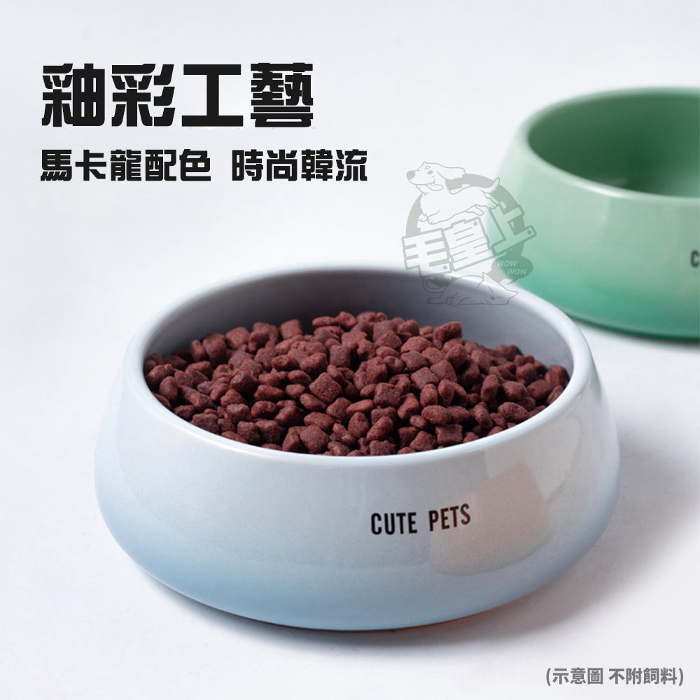 【毛皇上】BD收口陶瓷碗 陶瓷碗 韓系 餵食碗 飼料碗 收口碗 寵物碗-細節圖4