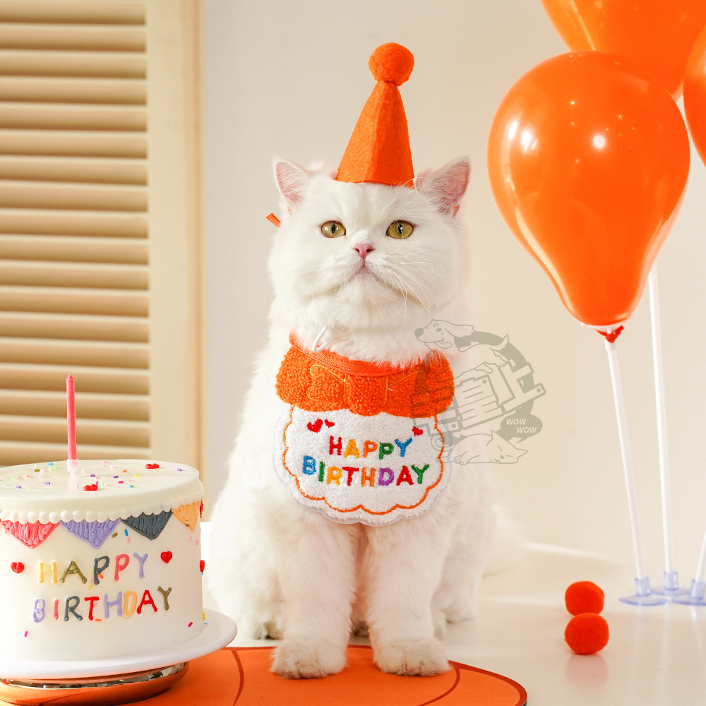 【毛皇上】寵物生日配件 派對帽 生日帽 生日圍兜 生日領巾 寵物生日派對 寵物慶生 貓狗飾品-細節圖2