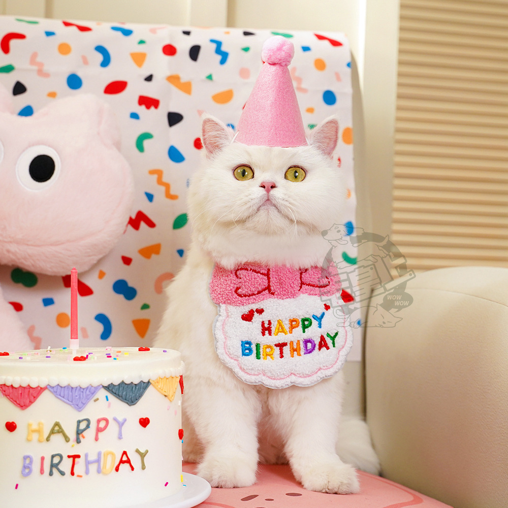 【毛皇上】寵物生日配件 派對帽 生日帽 生日圍兜 生日領巾 寵物生日派對 寵物慶生 貓狗飾品-細節圖4