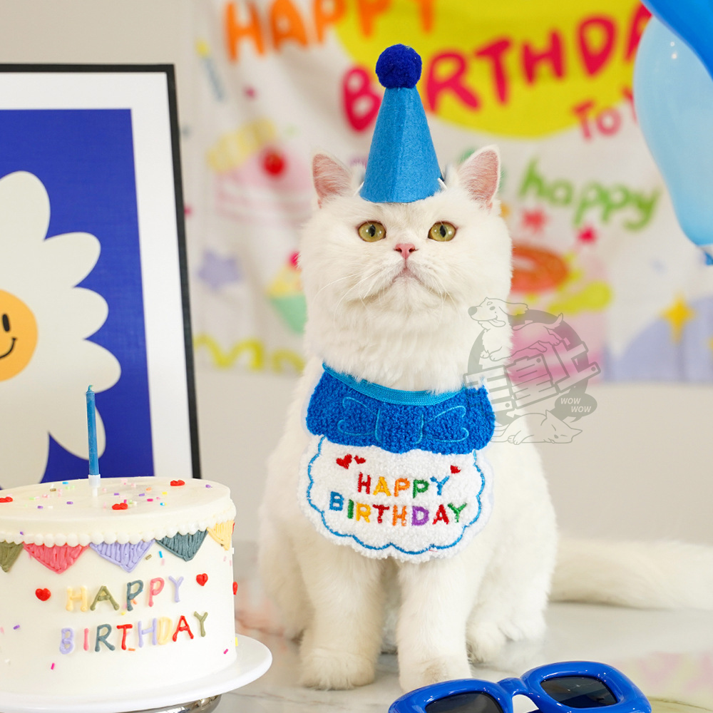 【毛皇上】寵物生日配件 派對帽 生日帽 生日圍兜 生日領巾 寵物生日派對 寵物慶生 貓狗飾品-細節圖5