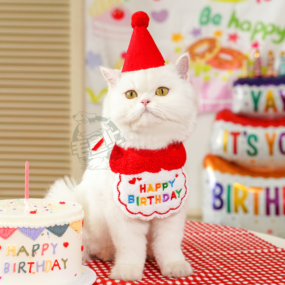 【毛皇上】寵物生日配件 派對帽 生日帽 生日圍兜 生日領巾 寵物生日派對 寵物慶生 貓狗飾品-細節圖6