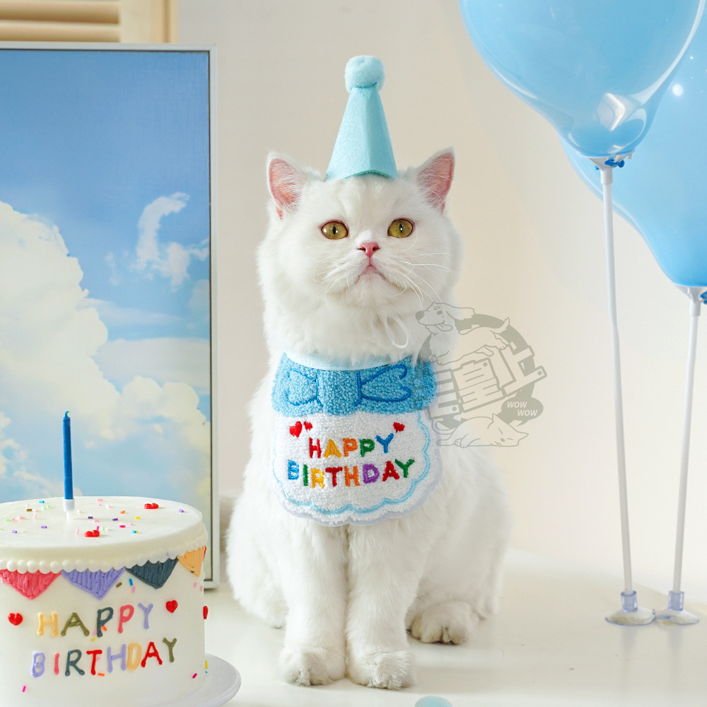 【毛皇上】寵物生日配件 派對帽 生日帽 生日圍兜 生日領巾 寵物生日派對 寵物慶生 貓狗飾品-細節圖7