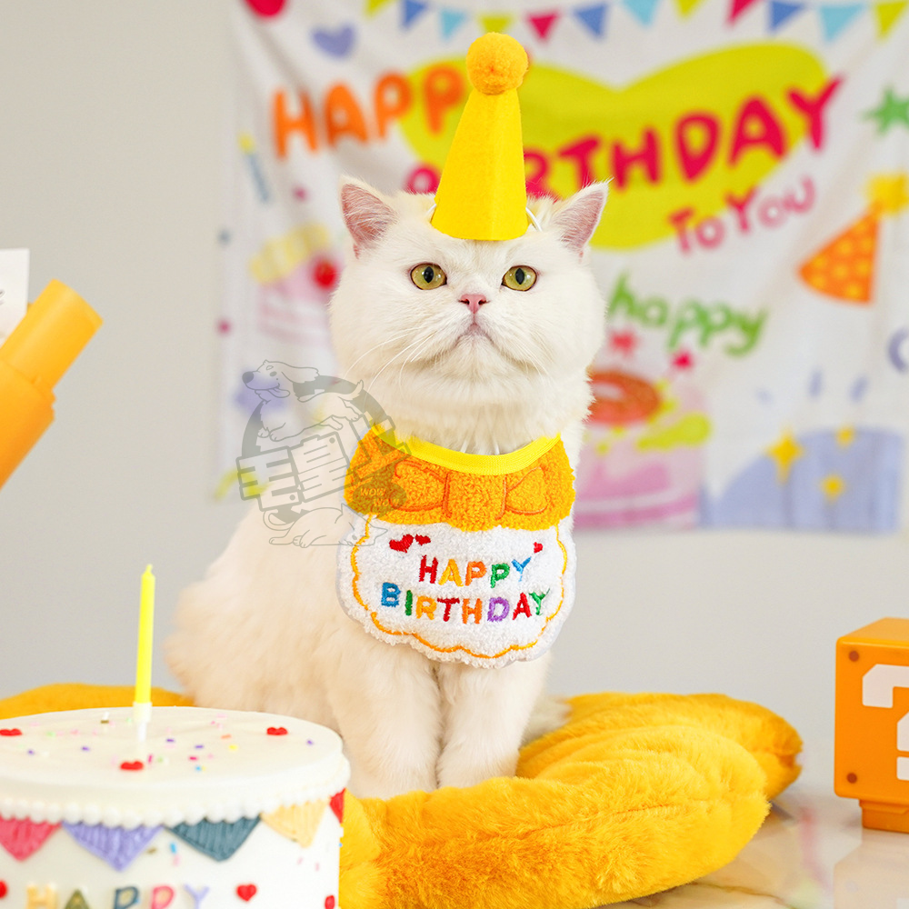 【毛皇上】寵物生日配件 派對帽 生日帽 生日圍兜 生日領巾 寵物生日派對 寵物慶生 貓狗飾品-細節圖8