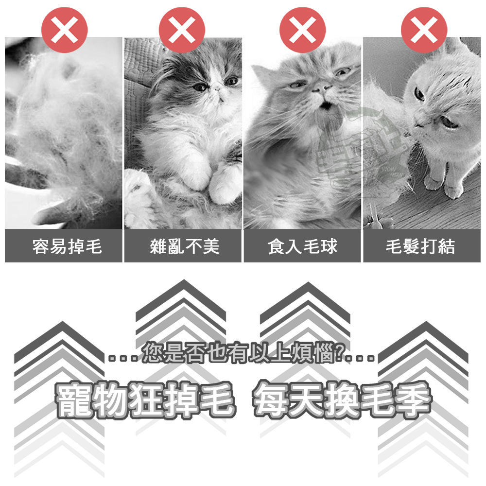 【毛皇上】貓掌一鍵除毛梳 除毛梳 梳毛 可愛貓掌 圓頭細針 貓狗梳子 寵物梳-細節圖2