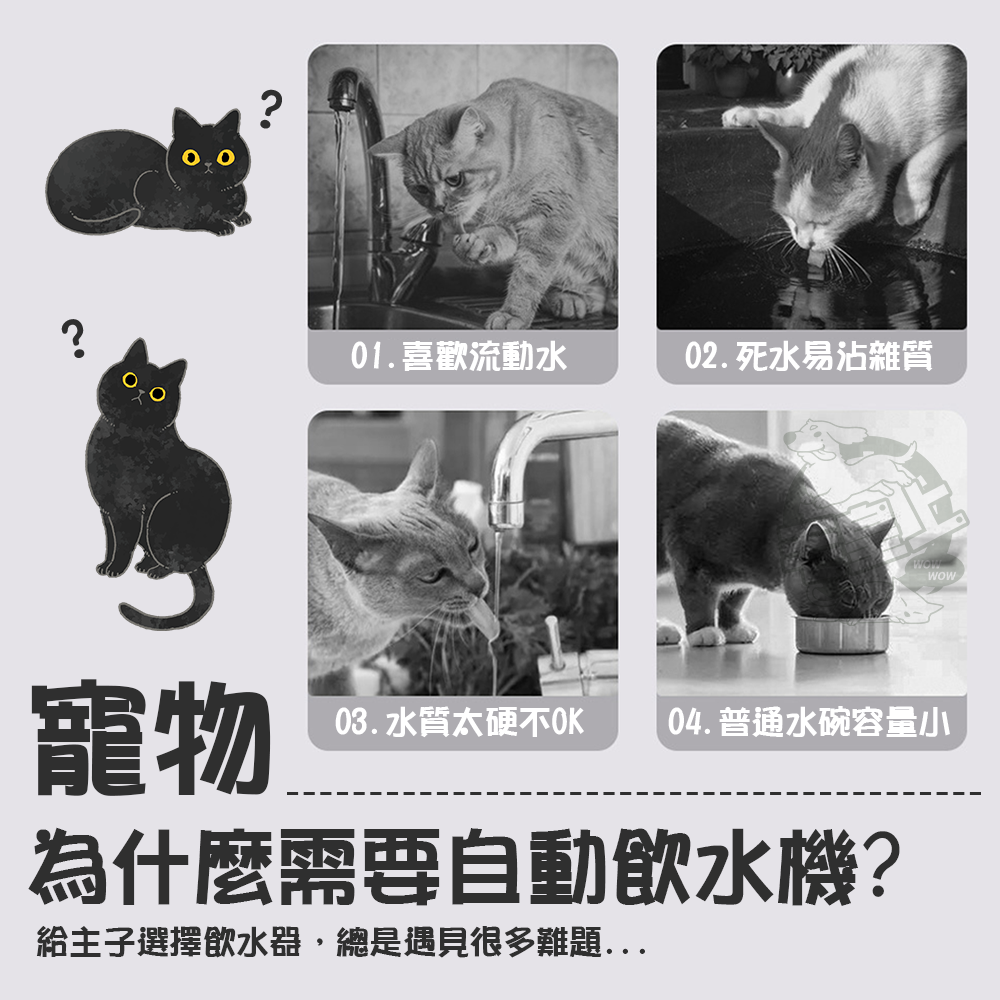 【毛皇上】透明感智能感應飲水機 智能飲水機 無線飲水機 感應出水 自動飲水機 寵物飲水機-細節圖2