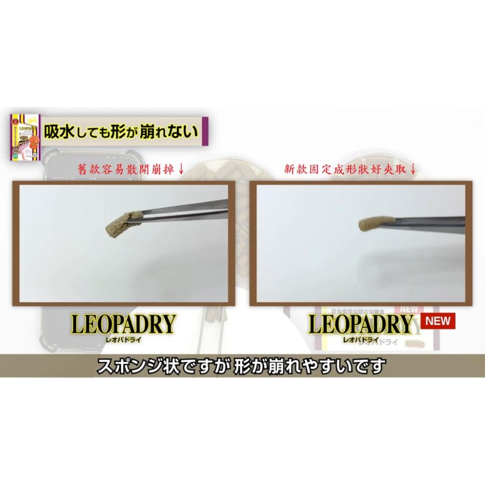 蛋叔叔-Hikari-高夠力食蟲動物顆粒飼料/守宮飼料/幼體/豹紋守宮/蜥蜴飼料/肥尾守宮/睫角守宮/巨人守宮/鬆獅蜥-細節圖2