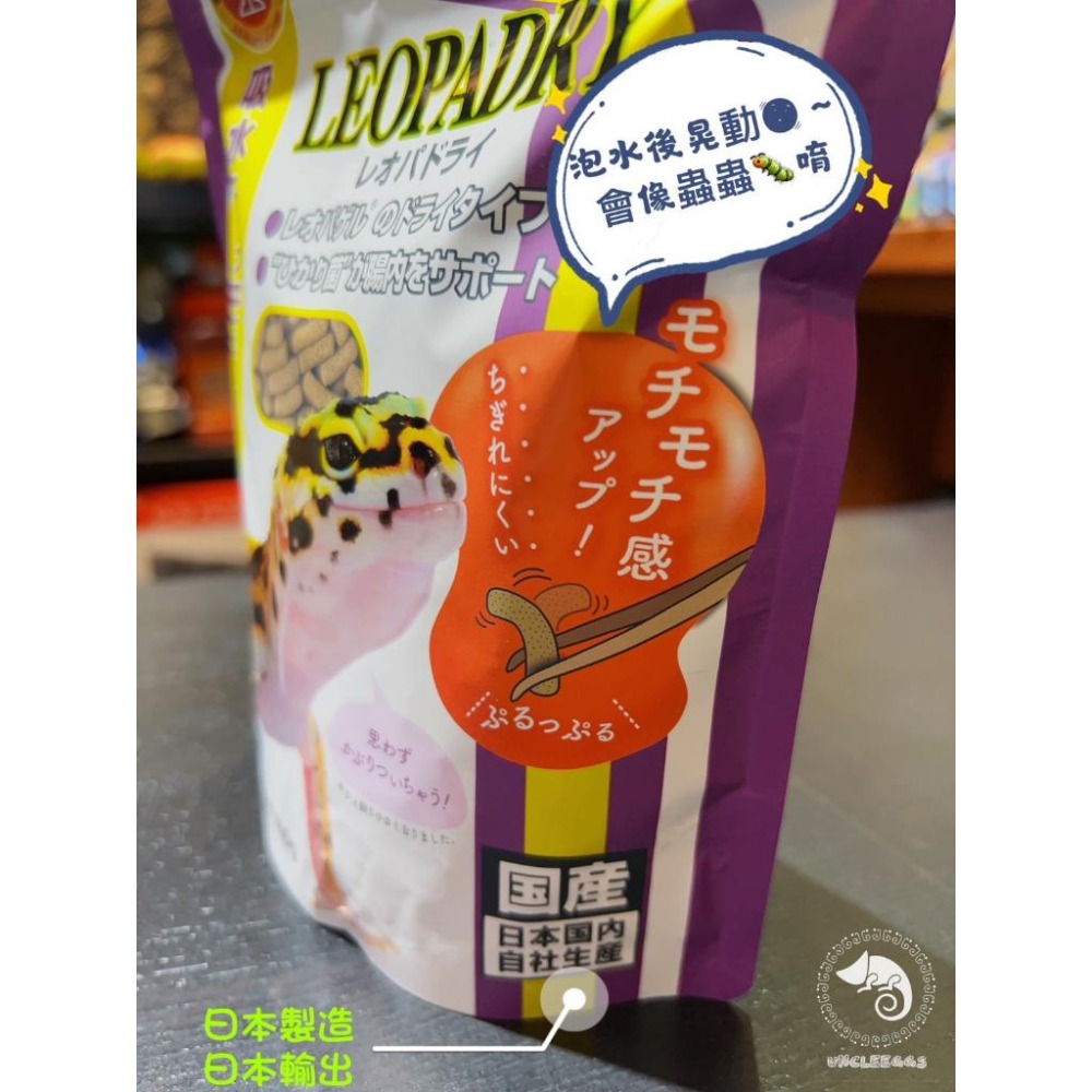 蛋叔叔-Hikari-高夠力食蟲動物顆粒飼料/守宮飼料/幼體/豹紋守宮/蜥蜴飼料/肥尾守宮/睫角守宮/巨人守宮/鬆獅蜥-細節圖4