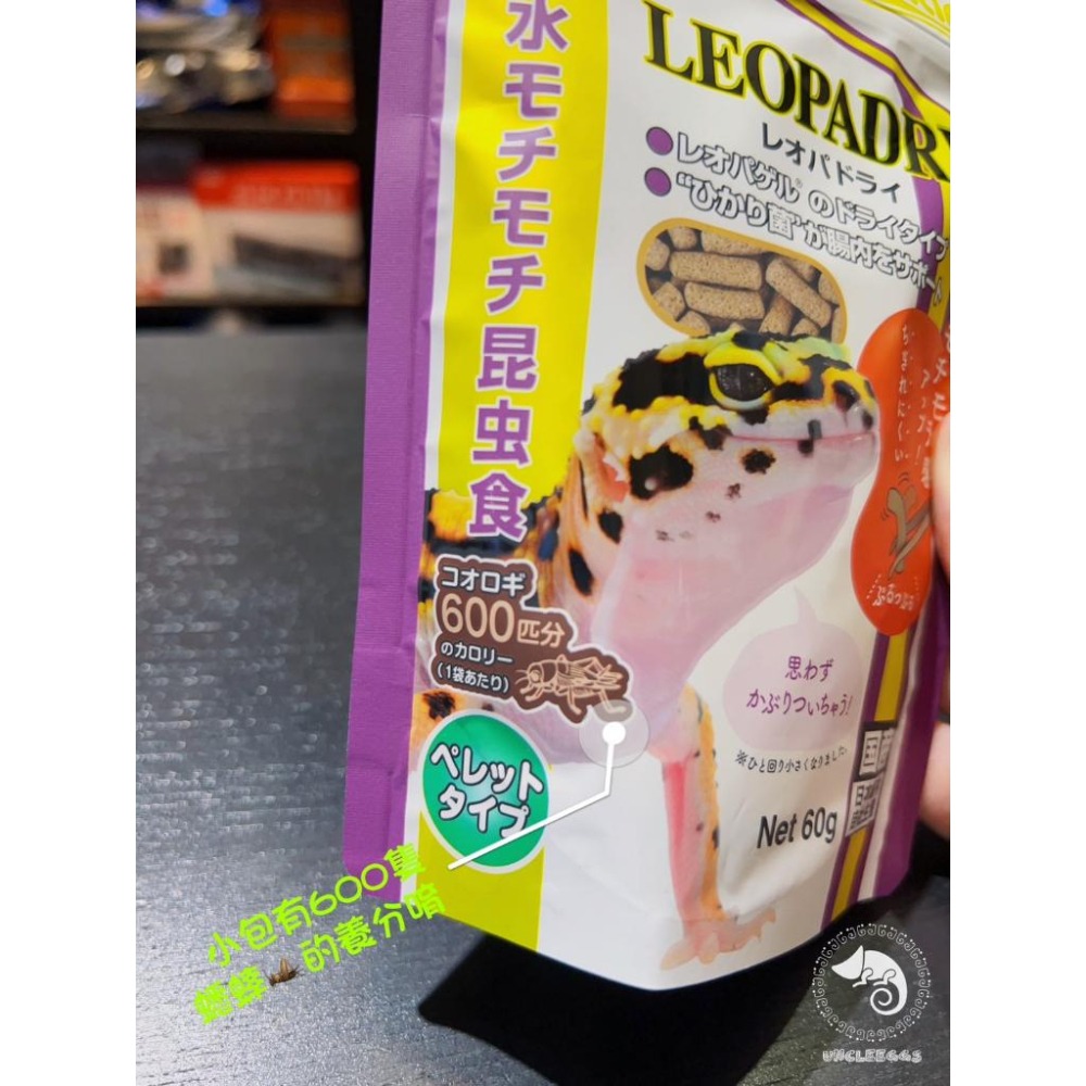 蛋叔叔-Hikari-高夠力食蟲動物顆粒飼料/守宮飼料/幼體/豹紋守宮/蜥蜴飼料/肥尾守宮/睫角守宮/巨人守宮/鬆獅蜥-細節圖7