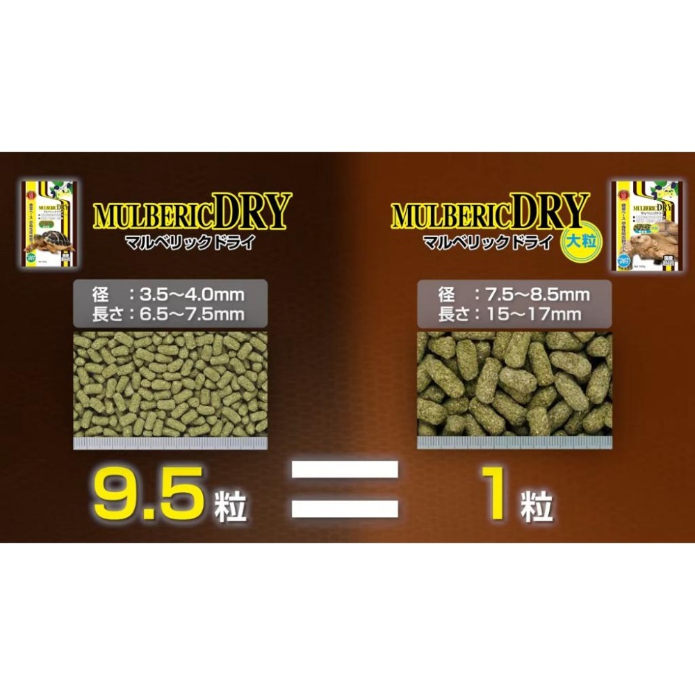 蛋叔叔-Hikari-高夠力陸龜健康蔬食(大顆粒)善玉菌/益生菌/陸龜飼料/草食性/高纖維/蘇卡達/王者蜥/鬆獅蜥/桑葉-細節圖4