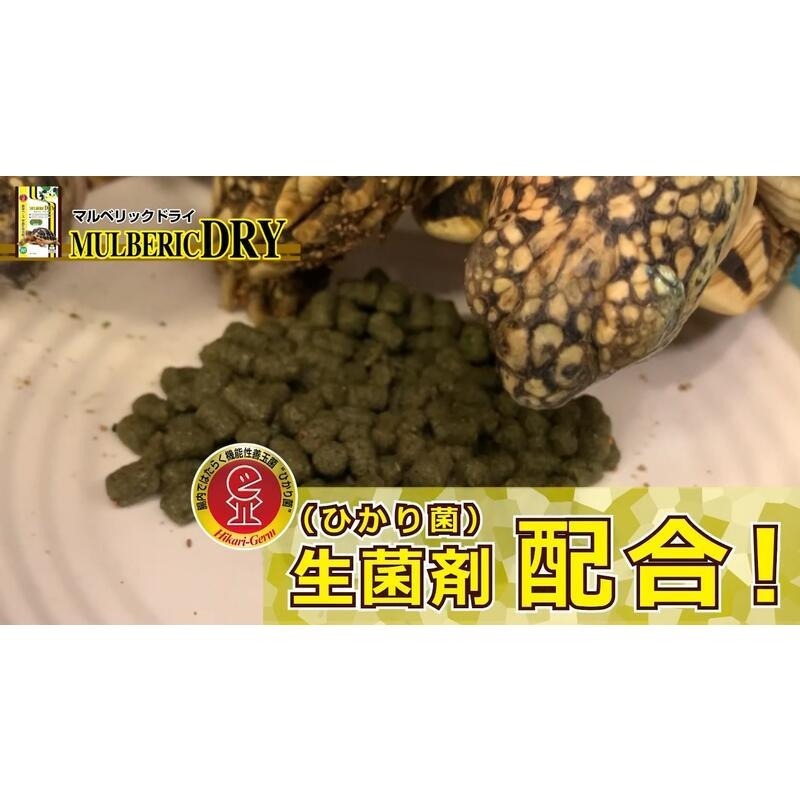 蛋叔叔-Hikari-高夠力陸龜健康蔬食(大顆粒)善玉菌/益生菌/陸龜飼料/草食性/高纖維/蘇卡達/王者蜥/鬆獅蜥/桑葉-細節圖5