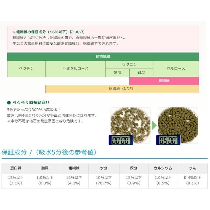 蛋叔叔-Hikari-高夠力陸龜健康蔬食(大顆粒)善玉菌/益生菌/陸龜飼料/草食性/高纖維/蘇卡達/王者蜥/鬆獅蜥/桑葉-細節圖6