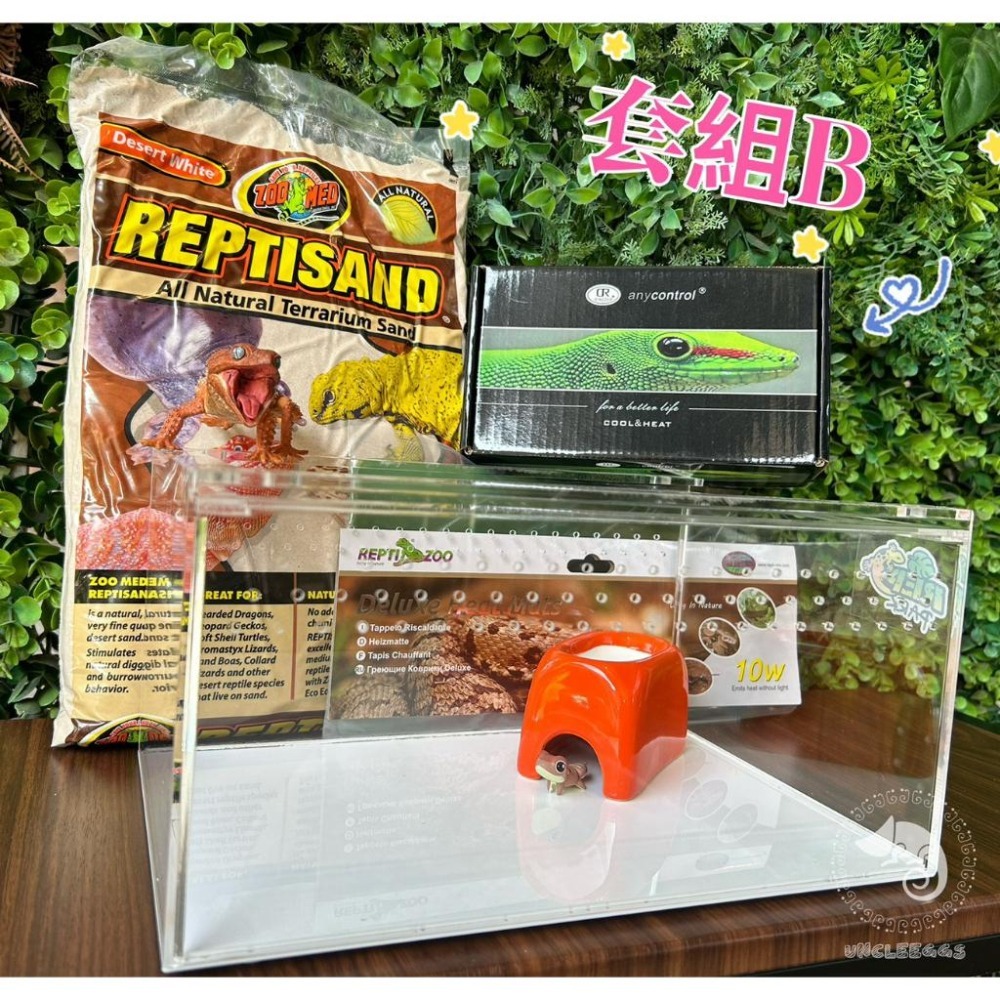 蛋叔叔【免運費】豪華沙漠型套組(小)/棘皮瘤尾/頭盔守宮/蠍子守宮/瘤尾守宮/蛙眼守宮/細皮瘤尾/守宮套組/守宮屋/爬缸-細節圖2