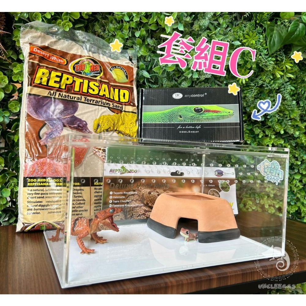 蛋叔叔【免運費】豪華沙漠型套組(小)/棘皮瘤尾/頭盔守宮/蠍子守宮/瘤尾守宮/蛙眼守宮/細皮瘤尾/守宮套組/守宮屋/爬缸-細節圖3