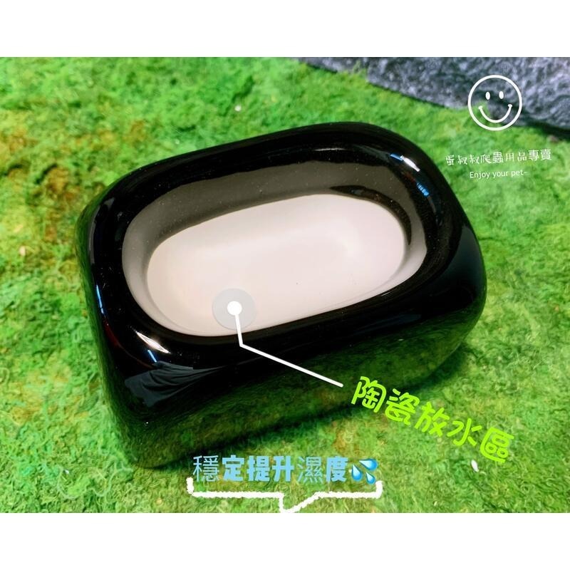 蛋叔叔【免運費】豪華沙漠型套組(小)/棘皮瘤尾/頭盔守宮/蠍子守宮/瘤尾守宮/蛙眼守宮/細皮瘤尾/守宮套組/守宮屋/爬缸-細節圖5