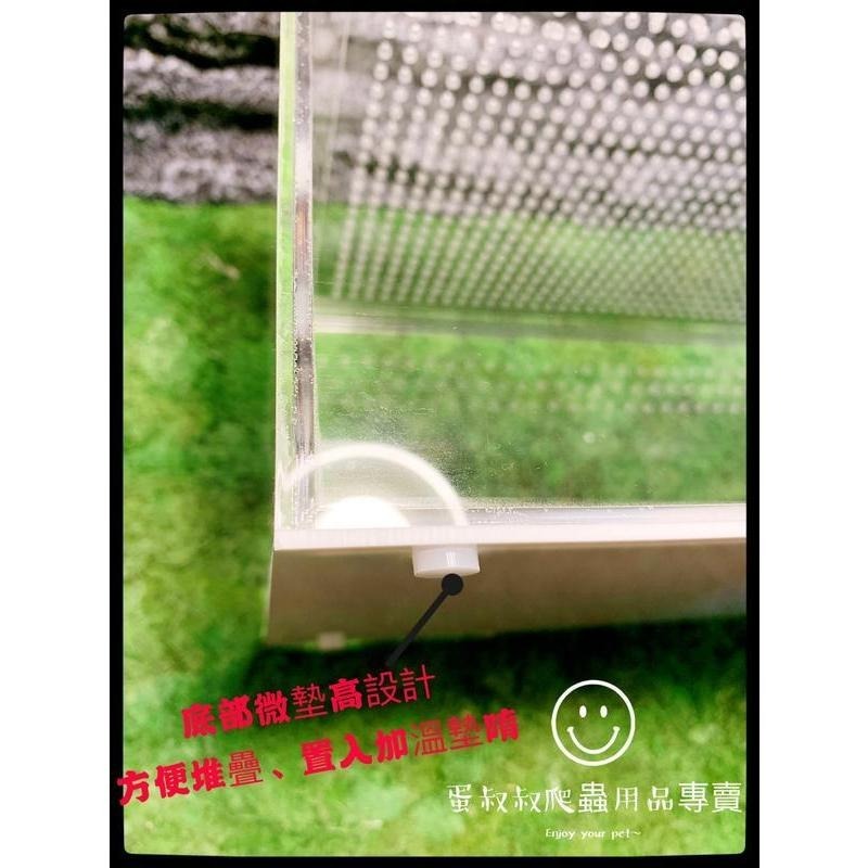 蛋叔叔【免運費】豪華沙漠型套組(小)/棘皮瘤尾/頭盔守宮/蠍子守宮/瘤尾守宮/蛙眼守宮/細皮瘤尾/守宮套組/守宮屋/爬缸-細節圖7