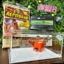 蛋叔叔【免運費】豪華沙漠型套組(小)/棘皮瘤尾/頭盔守宮/蠍子守宮/瘤尾守宮/蛙眼守宮/細皮瘤尾/守宮套組/守宮屋/爬缸-規格圖9