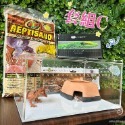 蛋叔叔【免運費】豪華沙漠型套組(小)/棘皮瘤尾/頭盔守宮/蠍子守宮/瘤尾守宮/蛙眼守宮/細皮瘤尾/守宮套組/守宮屋/爬缸-規格圖9