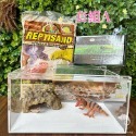 蛋叔叔【免運費】豪華沙漠型套組(小)/棘皮瘤尾/頭盔守宮/蠍子守宮/瘤尾守宮/蛙眼守宮/細皮瘤尾/守宮套組/守宮屋/爬缸-規格圖9