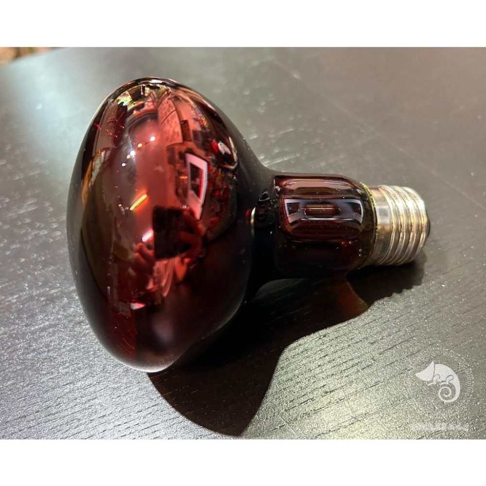 蛋叔叔-Komodo-紅外線夜燈/保溫/加溫/聚熱/加溫燈/聚熱燈/夜間加溫/樹蛙/陸龜/變色龍/巨人守宮/老爺樹蛙-細節圖6