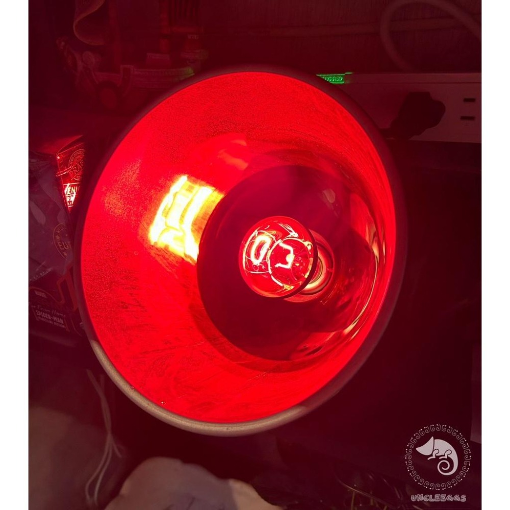 蛋叔叔-Komodo-紅外線夜燈/保溫/加溫/聚熱/加溫燈/聚熱燈/夜間加溫/樹蛙/陸龜/變色龍/巨人守宮/老爺樹蛙-細節圖9