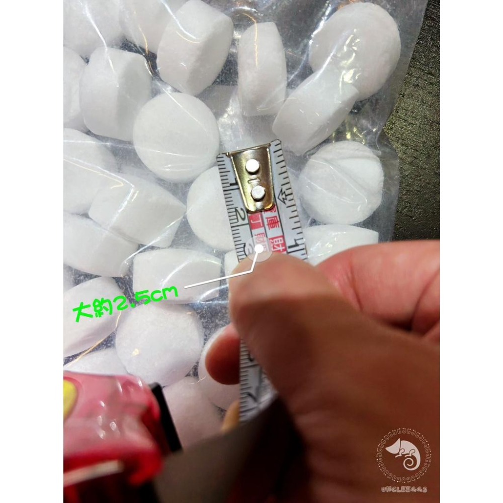 蛋叔叔-小螃蟹-鹽球/天然海鹽/粗鹽/礦物質/氣水域/河豚/金娃娃/8字娃娃/金魚/電解質/小型河豚/河口魚/坦干伊客湖-細節圖5