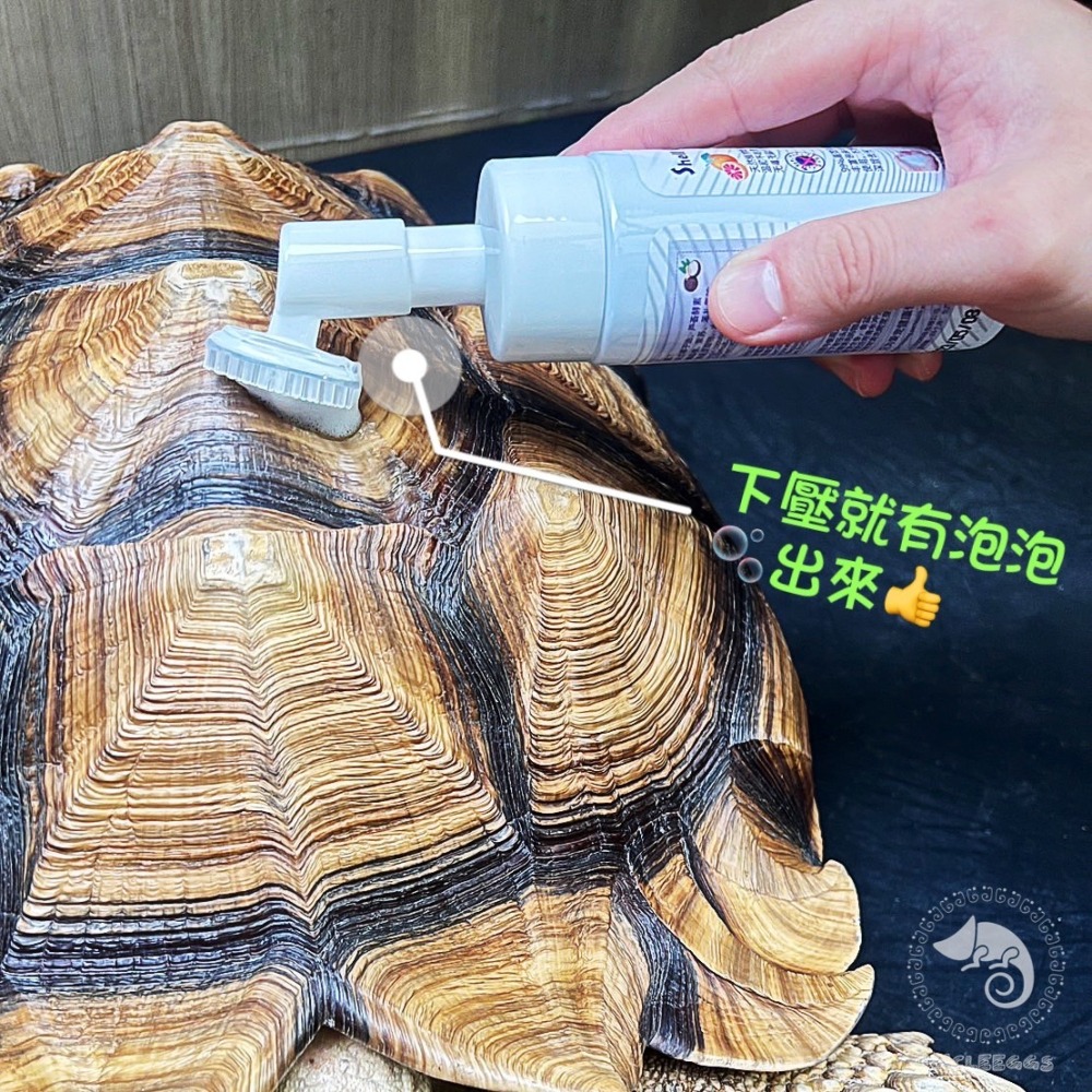 蛋叔叔-Shell clean爬寵強效沐浴露/烏龜清潔/龜甲保護/抗菌/龜殼/保濕/陸龜/角質化/保養/龜甲/亮光/龜殼-細節圖2