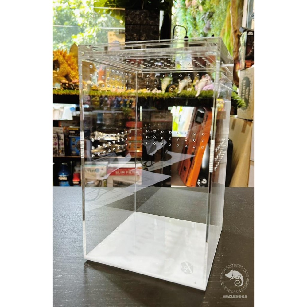 蛋叔叔-LD-壓克力飼養箱(樹棲型)/睫角守宮/巨人守宮/寵物箱/爬蟲箱/紅眼樹蛙/變色龍/螳螂/昆蟲箱/跳蛛/蜘蛛-細節圖2