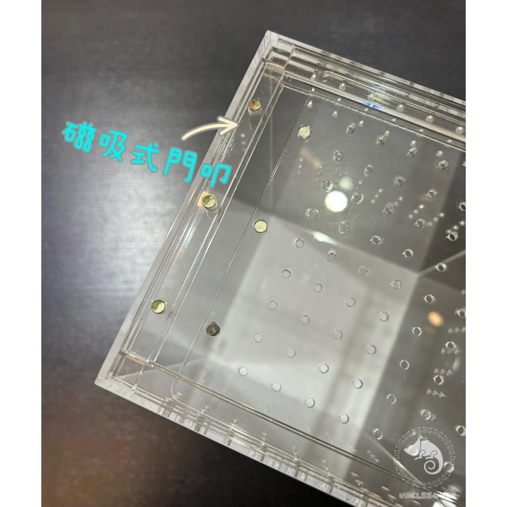 蛋叔叔-LD-壓克力飼養箱(樹棲型)/睫角守宮/巨人守宮/寵物箱/爬蟲箱/紅眼樹蛙/變色龍/螳螂/昆蟲箱/跳蛛/蜘蛛-細節圖4
