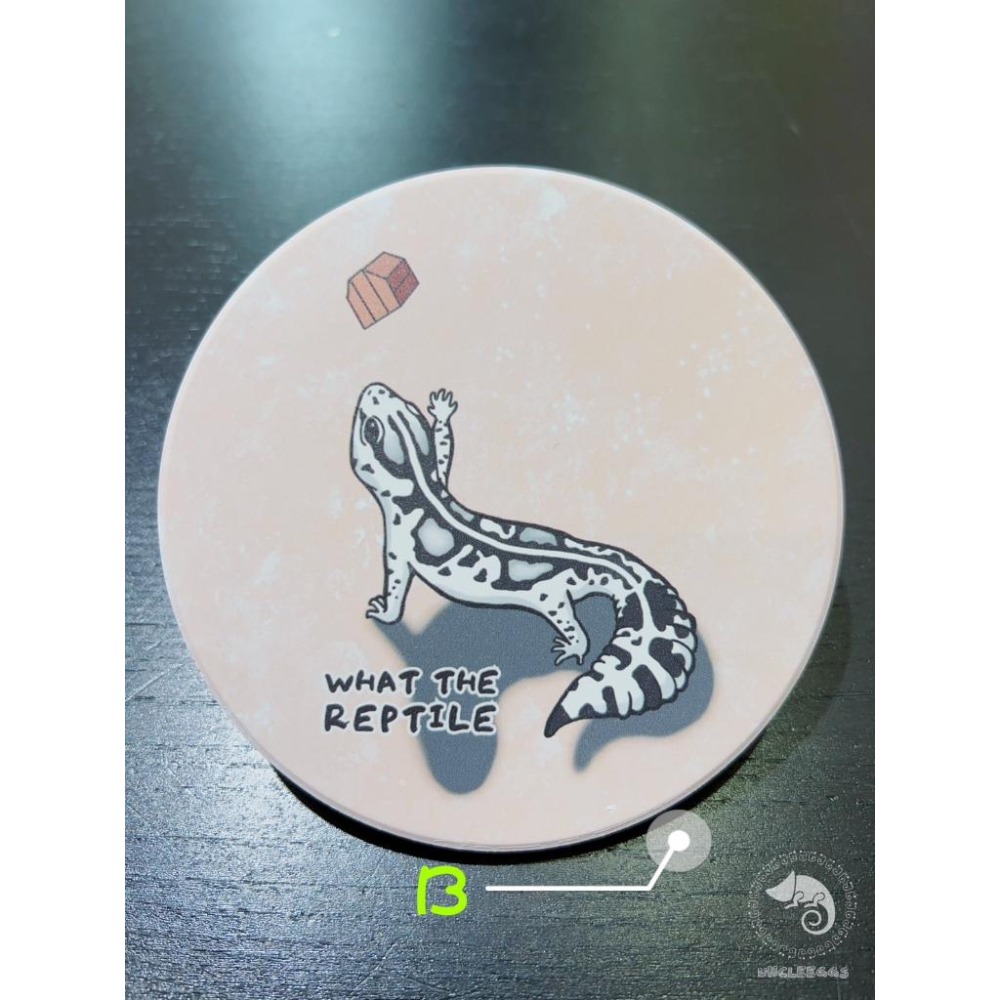 蛋叔叔-三小爬寵-守宮杯墊/公仔底台/底座/硅藻土/珪藻泥/吸水杯墊/肥尾守宮/橘化豹紋/防潮杯墊/飲料杯墊/矽藻土-細節圖4