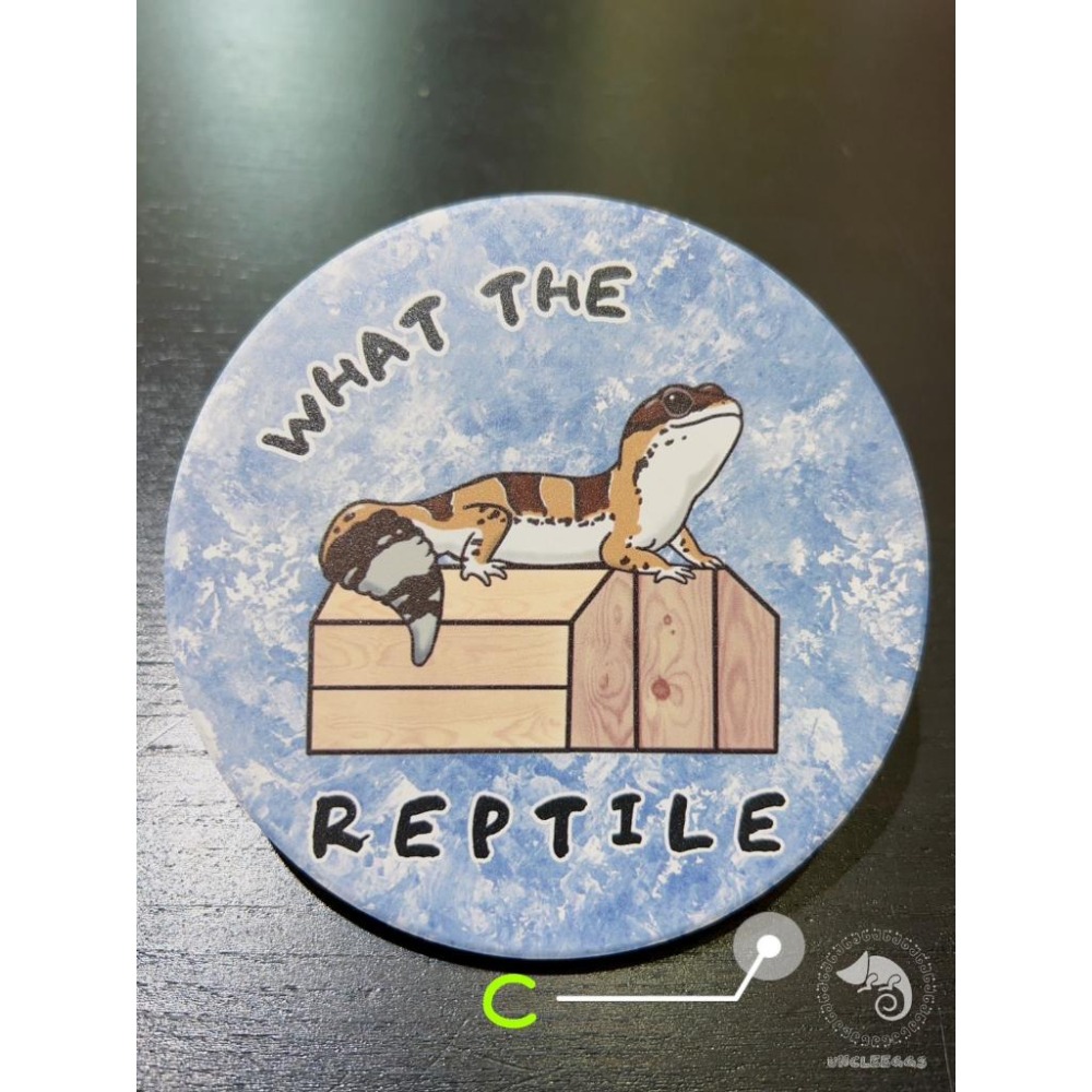 蛋叔叔-三小爬寵-守宮杯墊/公仔底台/底座/硅藻土/珪藻泥/吸水杯墊/肥尾守宮/橘化豹紋/防潮杯墊/飲料杯墊/矽藻土-細節圖5