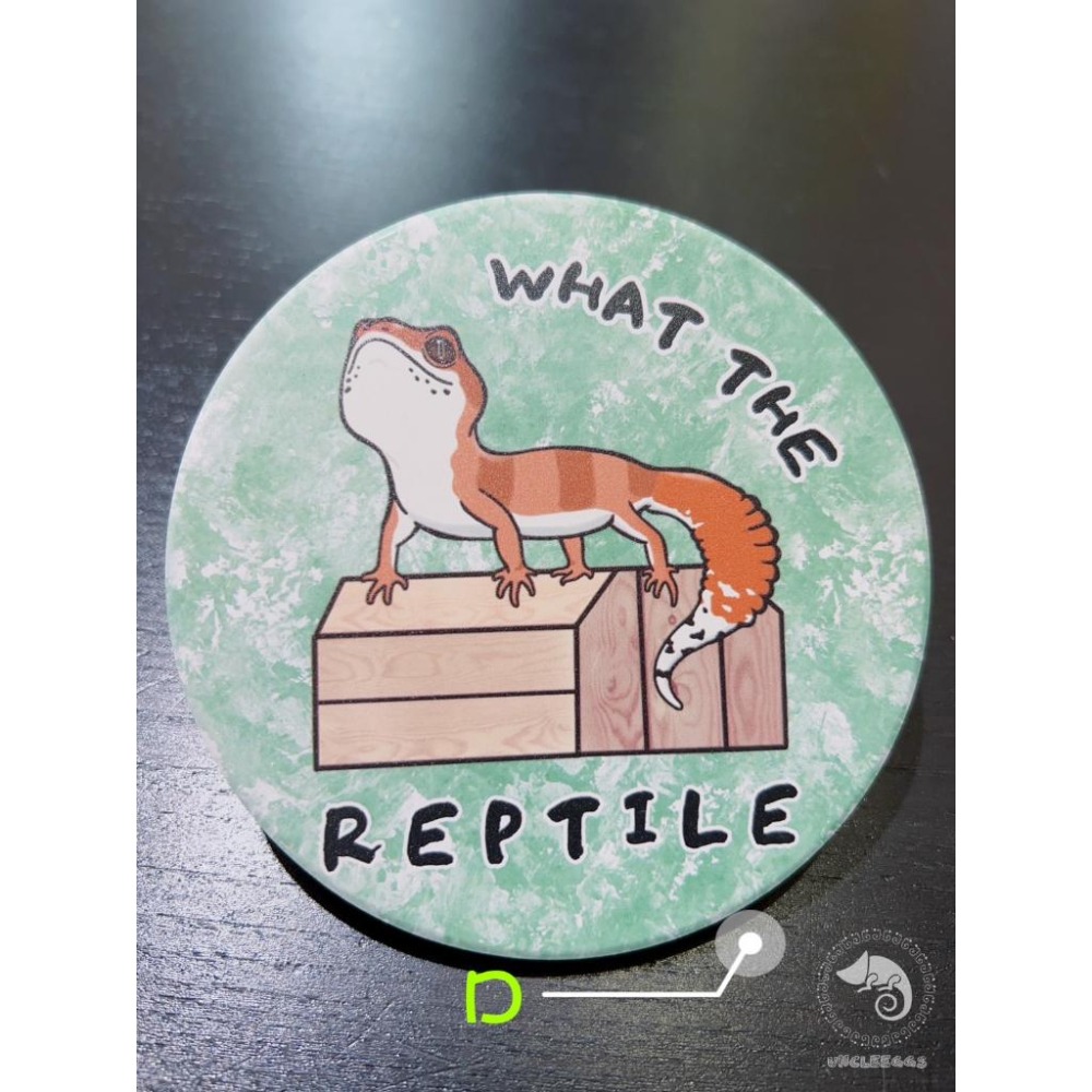 蛋叔叔-三小爬寵-守宮杯墊/公仔底台/底座/硅藻土/珪藻泥/吸水杯墊/肥尾守宮/橘化豹紋/防潮杯墊/飲料杯墊/矽藻土-細節圖6