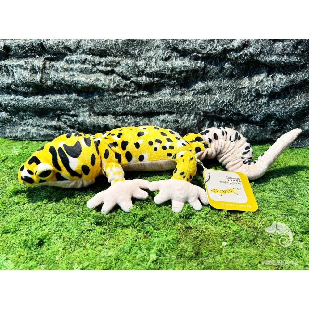 蛋叔叔【限量】豹紋守宮娃娃/肥尾/壁虎/抱枕/吊飾/掛飾/毛絨玩具/靠枕/靠墊/午睡枕/裝飾/日本進口/仿真-細節圖2