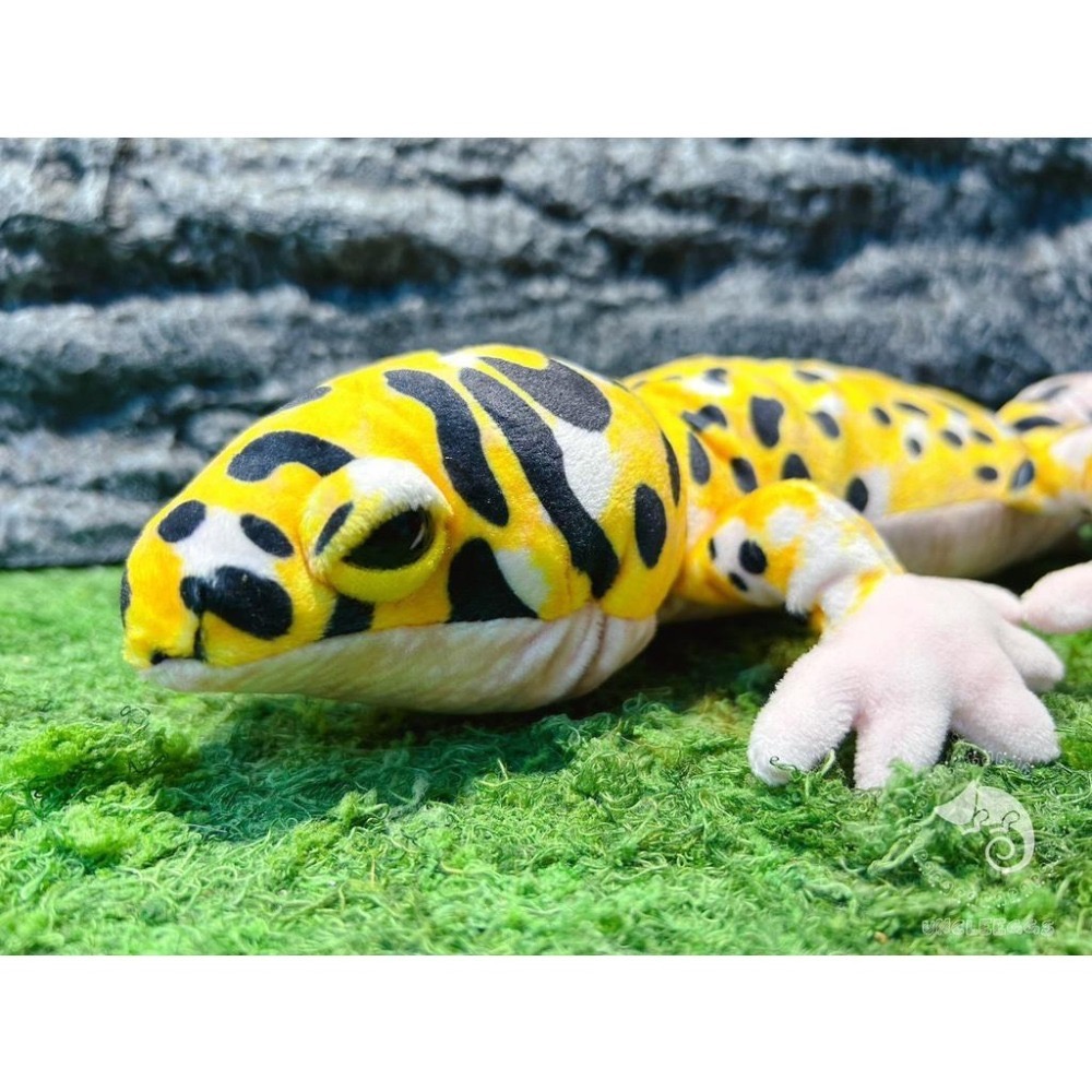 蛋叔叔【限量】豹紋守宮娃娃/肥尾/壁虎/抱枕/吊飾/掛飾/毛絨玩具/靠枕/靠墊/午睡枕/裝飾/日本進口/仿真-細節圖3