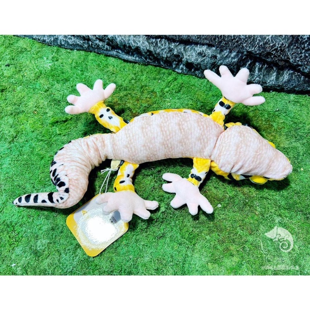 蛋叔叔【限量】豹紋守宮娃娃/肥尾/壁虎/抱枕/吊飾/掛飾/毛絨玩具/靠枕/靠墊/午睡枕/裝飾/日本進口/仿真-細節圖5