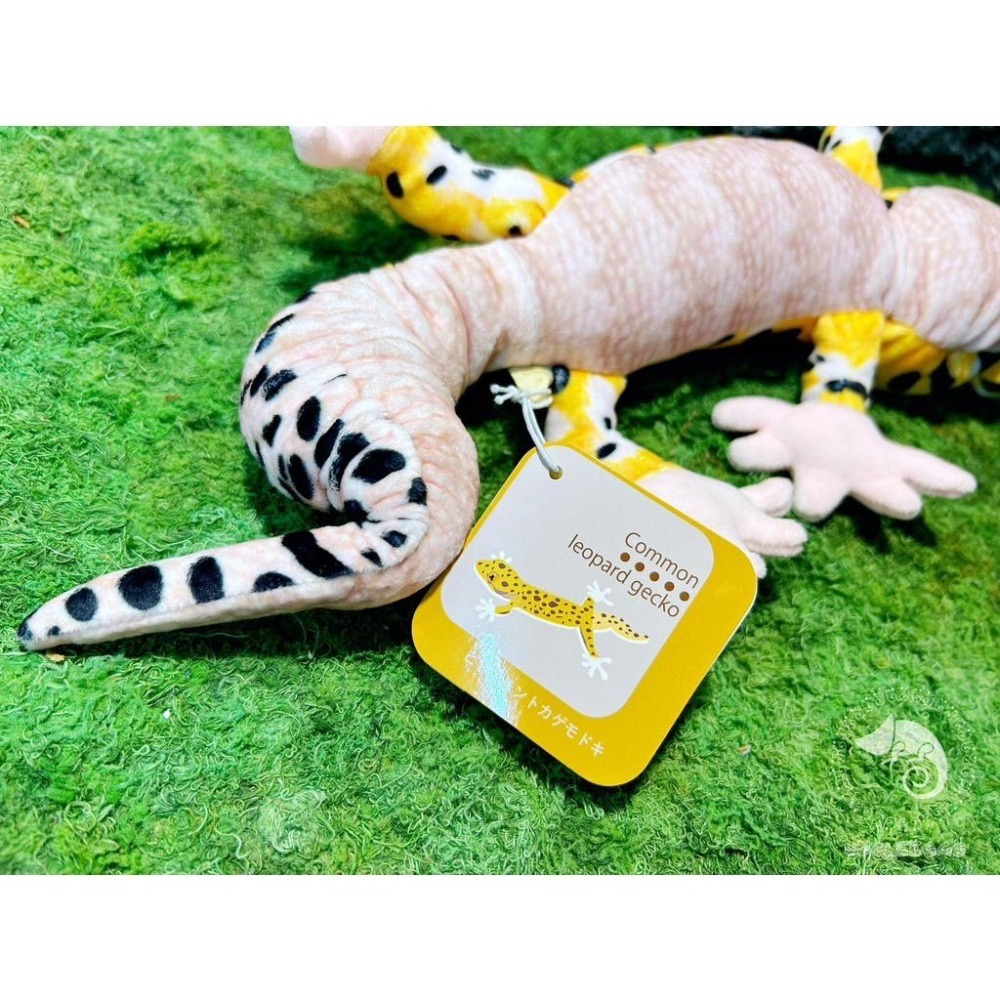 蛋叔叔【限量】豹紋守宮娃娃/肥尾/壁虎/抱枕/吊飾/掛飾/毛絨玩具/靠枕/靠墊/午睡枕/裝飾/日本進口/仿真-細節圖6