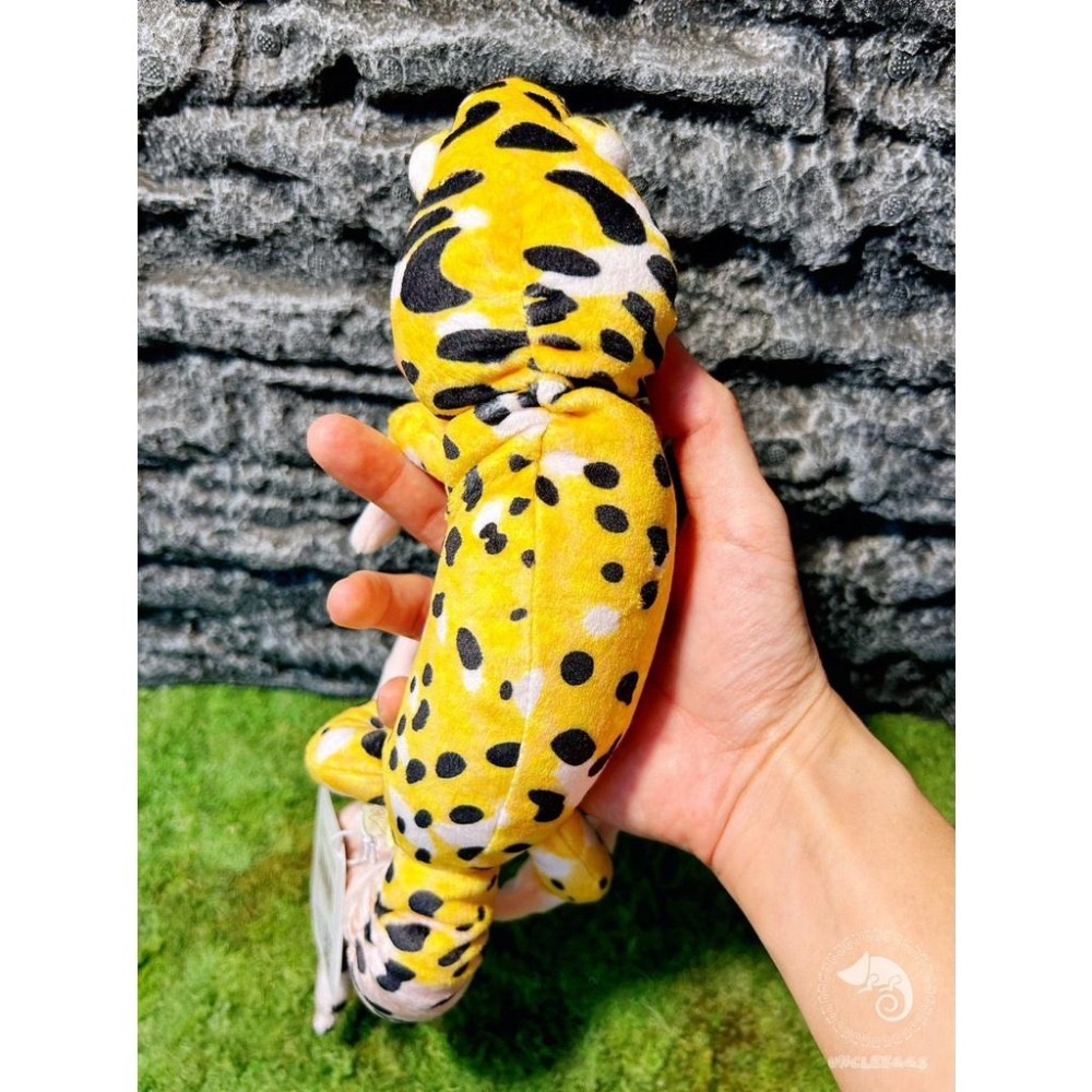 蛋叔叔【限量】豹紋守宮娃娃/肥尾/壁虎/抱枕/吊飾/掛飾/毛絨玩具/靠枕/靠墊/午睡枕/裝飾/日本進口/仿真-細節圖7