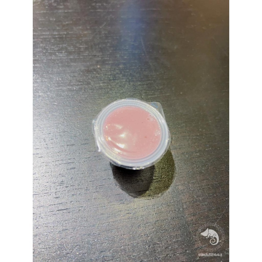 蛋叔叔-Komodo-果凍鈣(8入)/高蛋白/果泥/補鈣/守宮飼料/睫角守宮/日行守宮/巨人守宮/蓋勾亞守宮/鬆獅蜥/紅-細節圖5