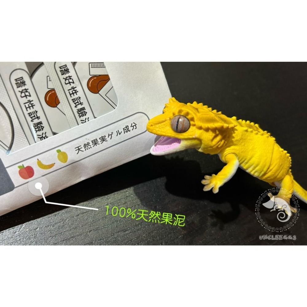 蛋叔叔-兩爬專科-爬蟲專用果泥/果泥/守宮飼料/睫角守宮/日行守宮/巨人守宮/蓋勾亞守宮/鬆獅蜥/紅腿陸龜/營養膏-細節圖2