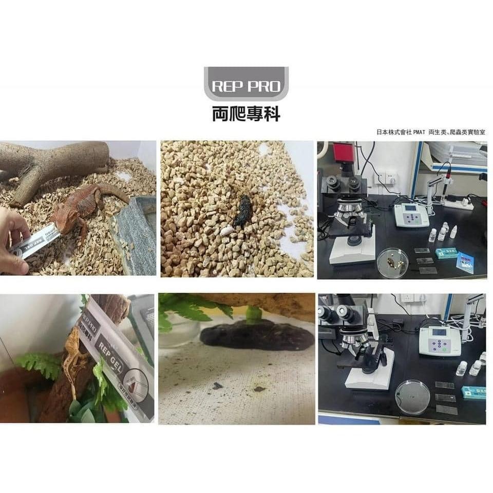 蛋叔叔-兩爬專科-爬蟲專用果泥/果泥/守宮飼料/睫角守宮/日行守宮/巨人守宮/蓋勾亞守宮/鬆獅蜥/紅腿陸龜/營養膏-細節圖3