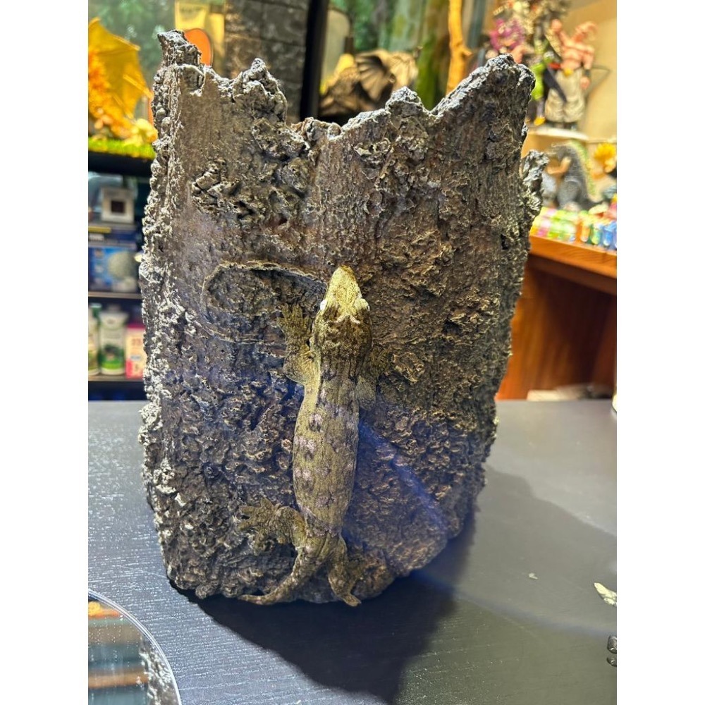 蛋叔叔【免運費】YS-C02-仿真樹皮洞穴L/大樹洞/烏龜洞/巨人守宮/鬆獅蜥/南美蜥/洞穴/造景/木屋/螯蝦/異形魚-細節圖2