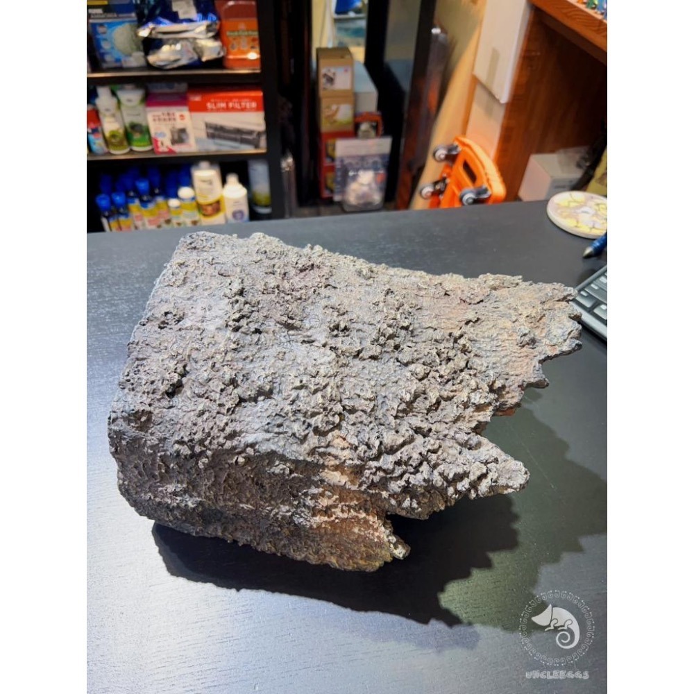 蛋叔叔【免運費】YS-C02-仿真樹皮洞穴L/大樹洞/烏龜洞/巨人守宮/鬆獅蜥/南美蜥/洞穴/造景/木屋/螯蝦/異形魚-細節圖3