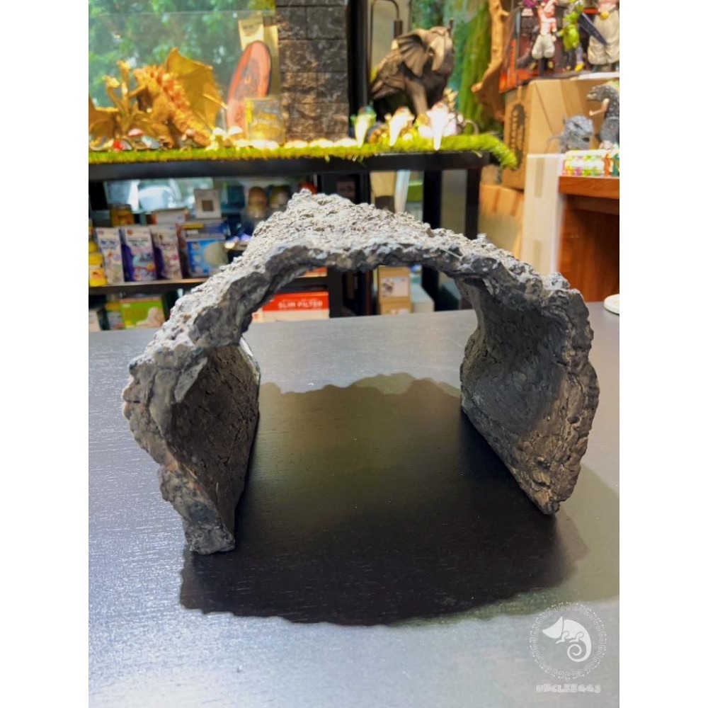 蛋叔叔【免運費】YS-C02-仿真樹皮洞穴L/大樹洞/烏龜洞/巨人守宮/鬆獅蜥/南美蜥/洞穴/造景/木屋/螯蝦/異形魚-細節圖6