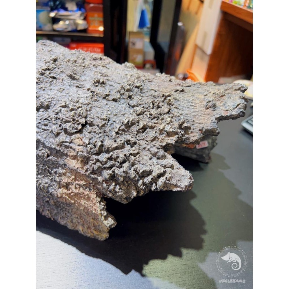蛋叔叔【免運費】YS-C02-仿真樹皮洞穴L/大樹洞/烏龜洞/巨人守宮/鬆獅蜥/南美蜥/洞穴/造景/木屋/螯蝦/異形魚-細節圖7