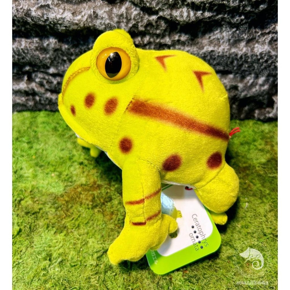 蛋叔叔【限量】【免運費】角蛙娃娃/綠角蛙/青蛙/抱枕/吊飾/掛飾/毛絨玩具/靠枕/靠墊/午睡枕/裝飾/日本進口/仿真-細節圖3